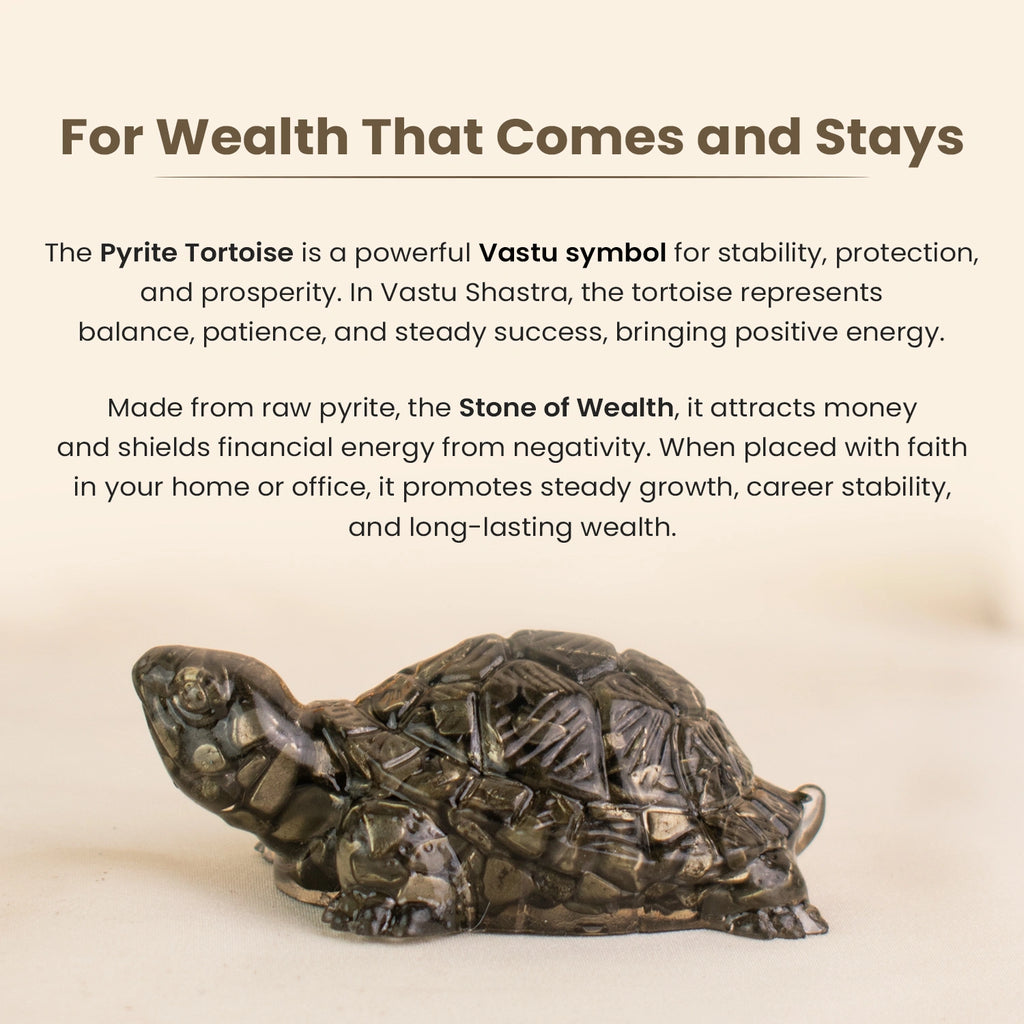 Collector’s Edition Pyrite Tortoise (Kachhua) - Big Size - 8x heavier