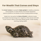 Collector’s Edition Pyrite Tortoise (Kachhua) - Big Size - 8x heavier
