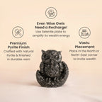 Pyrite Owl : Symbol of Goddess Lakshmi ( Deity of Wealth )