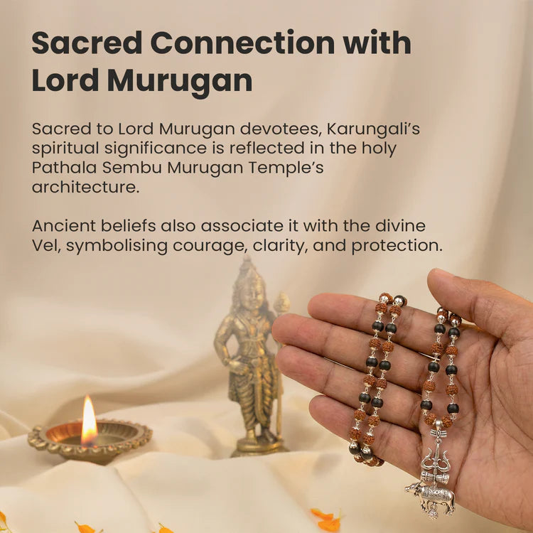 Shiv Raksha Karungali Rudraksha Mala with Trishul Nandi Pendant