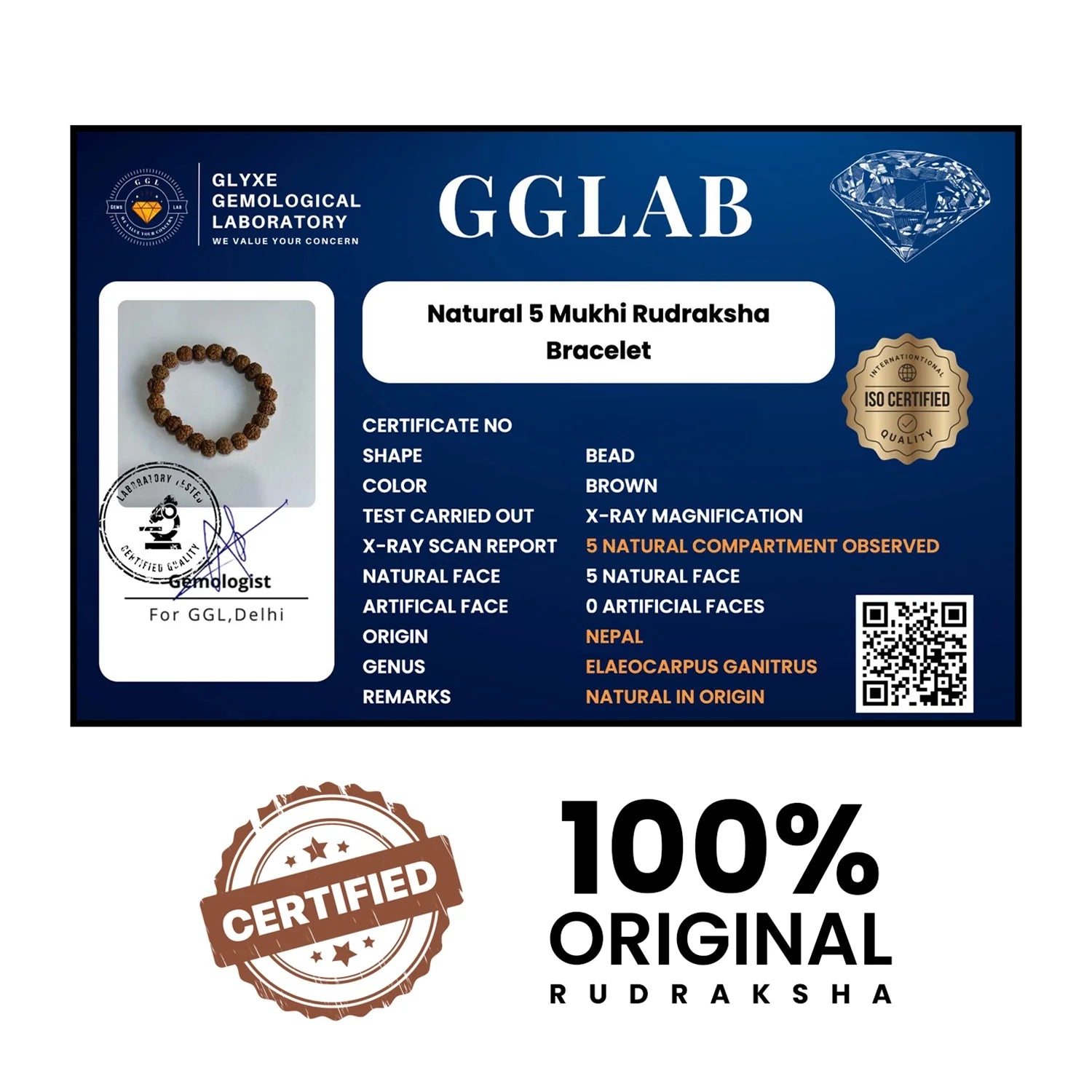 5 Mukhi Rudraksha Bracelet