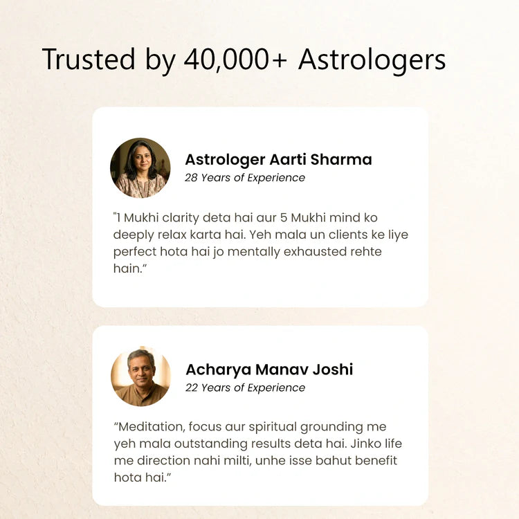 1 Mukhi (Under-Developed) Rudraksha Bead in 5 Mukhi Rudraksha Mala