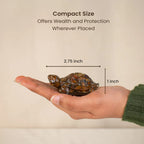 Vastu Tiger Eye Tortoise (Kachhua)