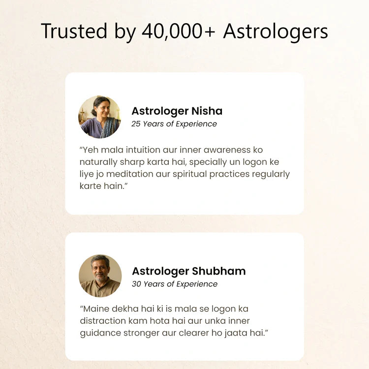 11 Mukhi Rudraksha bead in 5 Mukhi Rudraksha Mala