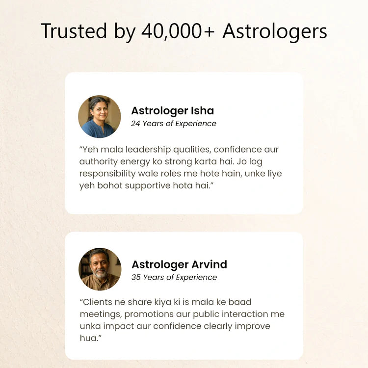 12 Mukhi Rudraksha bead in 5 Mukhi Rudraksha Mala