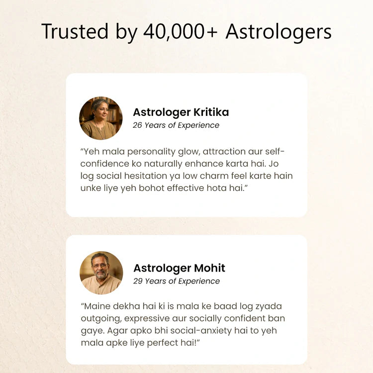 13 Mukhi Rudraksha bead in 5 Mukhi Rudraksha Mala