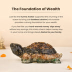 Collector’s Edition Vastu Dhan Yog Tortoise (Big size)