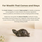 Super Vastu Combo : 7 Horses Pyrite Frame & Pyrite Tortoise