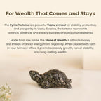 Vastu Pyrite Tortoise Combo
