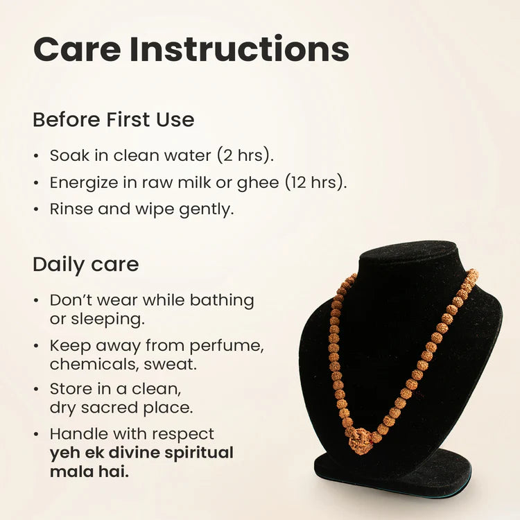 1 Mukhi (Under-Developed) Rudraksha Bead in 5 Mukhi Rudraksha Mala