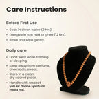 1 Mukhi (Under-Developed) Rudraksha Bead in 5 Mukhi Rudraksha Mala
