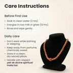 3 Mukhi Rudraksha Bead in 5 Mukhi Rudraksha Mala