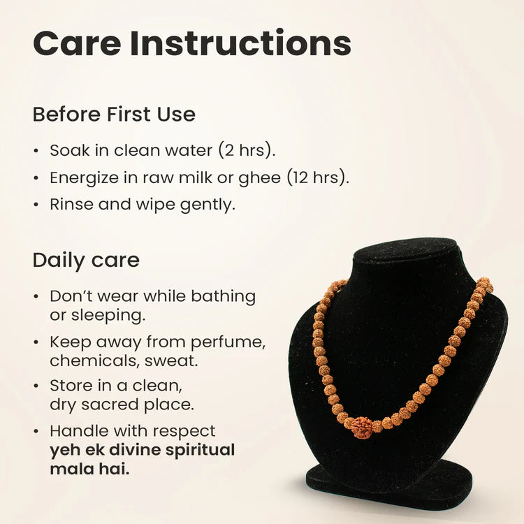 3 Mukhi Rudraksha Bead in 5 Mukhi Rudraksha Mala