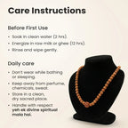 4 Mukhi Rudraksha bead in 5 Mukhi Rudraksha Mala