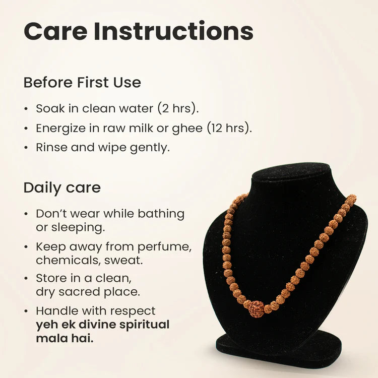 4 Mukhi Rudraksha bead in 5 Mukhi Rudraksha Mala