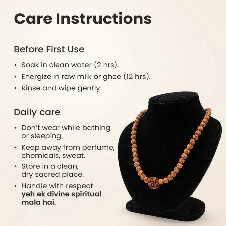 6 Mukhi Rudraksha bead in 5 Mukhi Rudraksha Mala