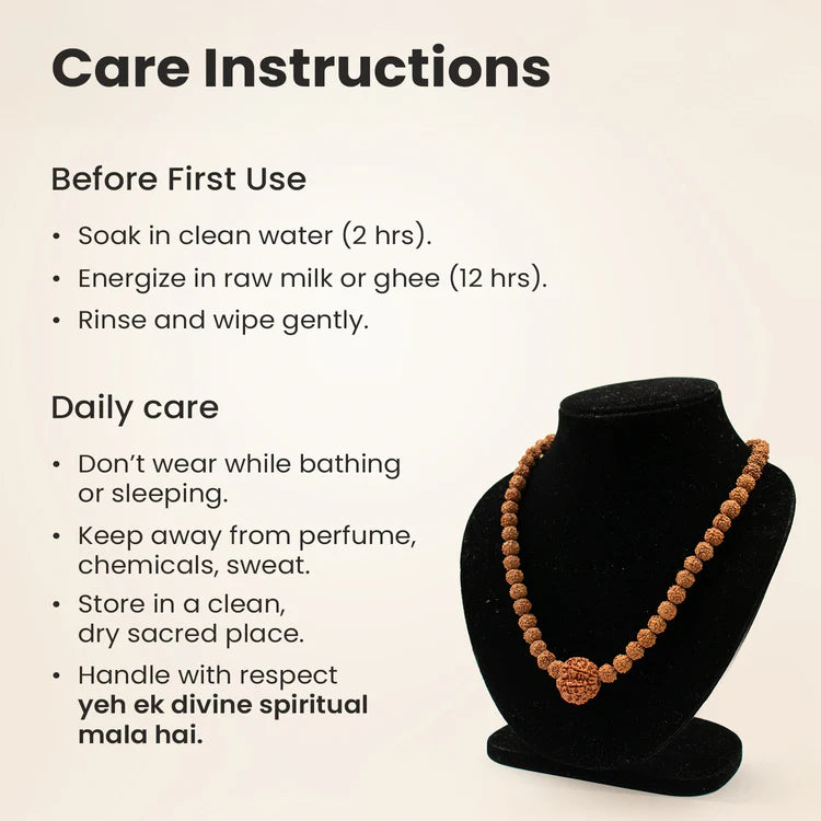 7 Mukhi Rudraksha bead in 5 Mukhi Rudraksha Mala