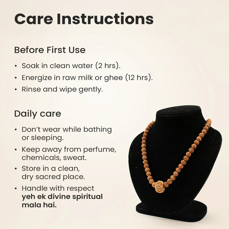 8 Mukhi Rudraksha Bead in 5 Mukhi Rudraksha Mala