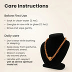 8 Mukhi Rudraksha Bead in 5 Mukhi Rudraksha Mala