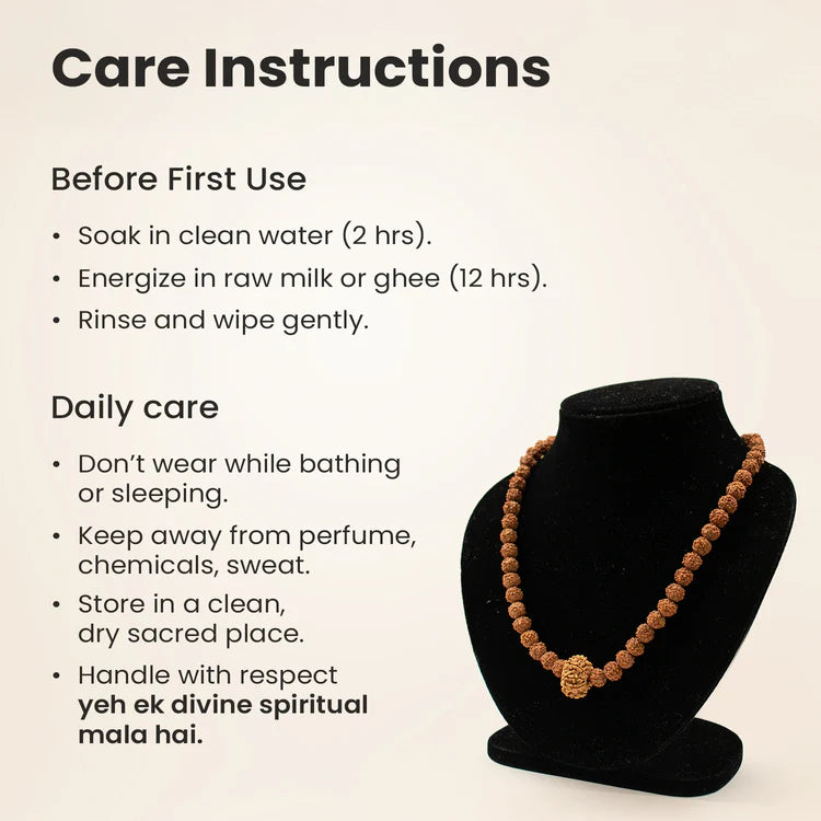 9 Mukhi Rudraksha bead in 5 Mukhi Rudraksha Mala