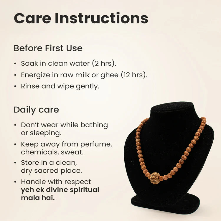 10 Mukhi Rudraksha bead in 5 Mukhi Rudraksha Mala