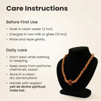12 Mukhi Rudraksha bead in 5 Mukhi Rudraksha Mala