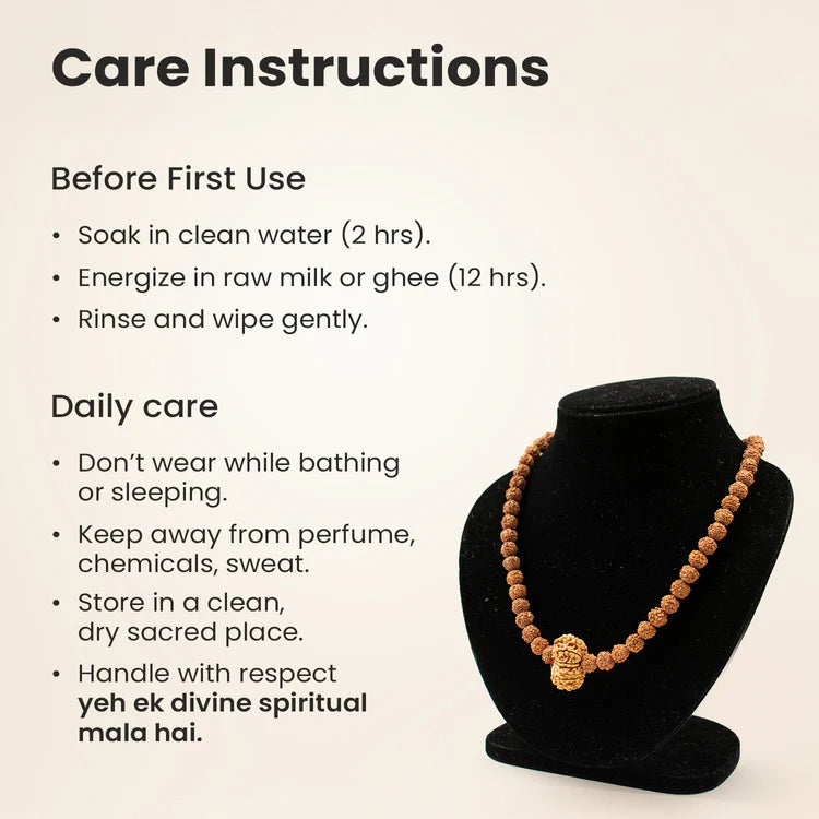 13 Mukhi Rudraksha bead in 5 Mukhi Rudraksha Mala