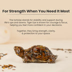 Vastu Tiger Eye Tortoise (Kachhua)