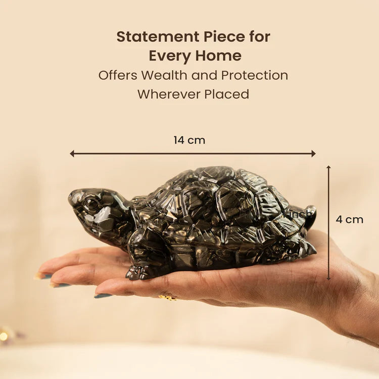 Vastu Pyrite Tortoise Combo