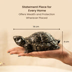 Vastu Pyrite Tortoise Combo