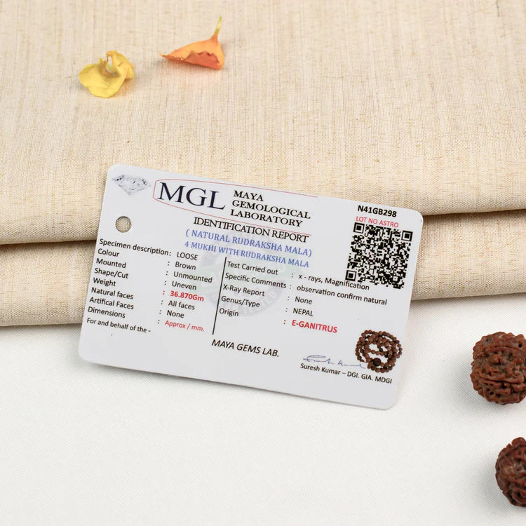 4 Mukhi Rudraksha bead in 5 Mukhi Rudraksha Mala