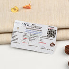 7 Mukhi Rudraksha bead in 5 Mukhi Rudraksha Mala