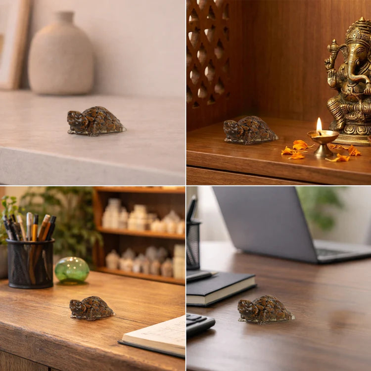 Vastu Tiger Eye Tortoise (Kachhua)
