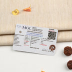 9 Mukhi Rudraksha bead in 5 Mukhi Rudraksha Mala