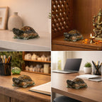 Collector’s Edition Vastu Dhan Yog Tortoise (Big size)