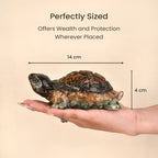 Collector’s Edition Vastu Dhan Yog Tortoise (Big size)