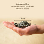 Vastu Pyrite Tortoise Combo