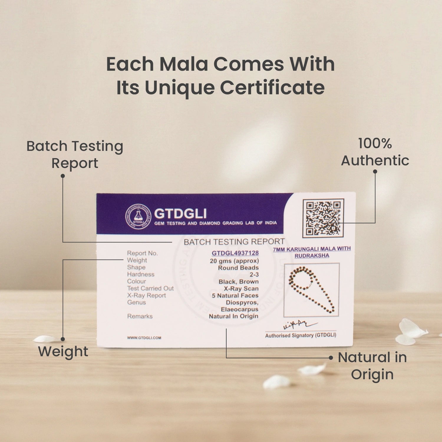 Divya Raksha Rudraksha & Karungali Mala with Silver Capping