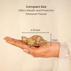 Vastu Citrine Tortoise (Kachhua)