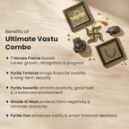 Ultimate Vastu Combo