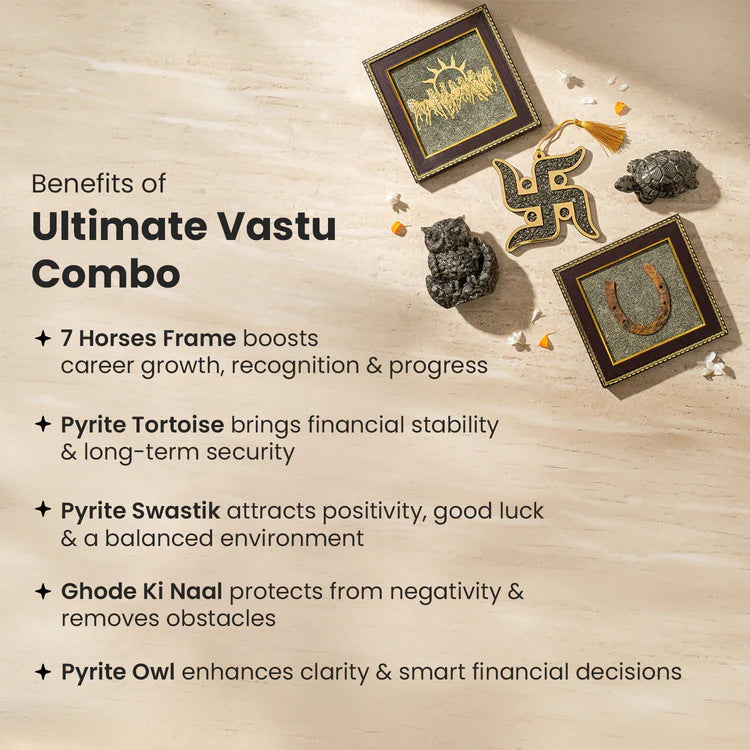 Ultimate Vastu Combo