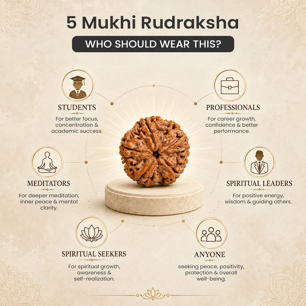 Collector's Edition 5 Mukhi Rudraksha (Nepali Origin)