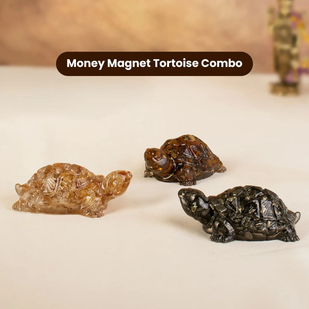 Money Magnet Tortoise Combo