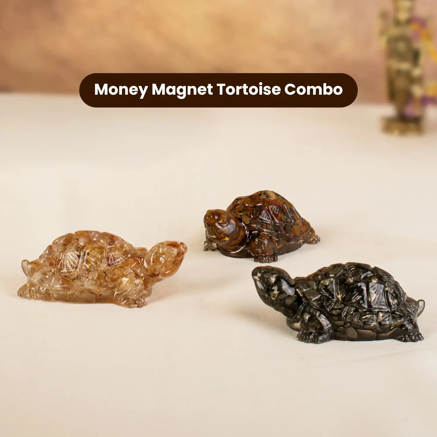 Money Magnet Tortoise Combo
