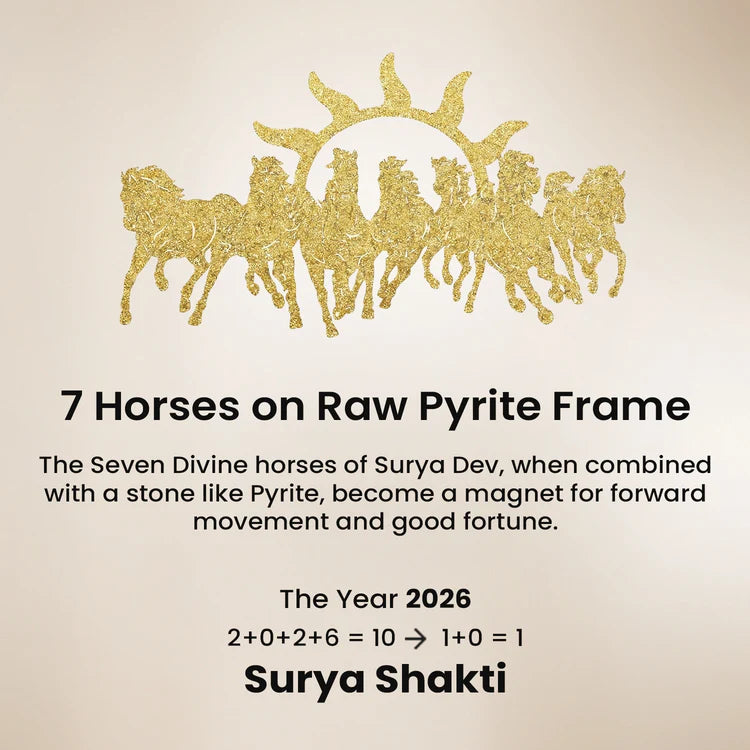 Super Vastu Combo : 7 Horses Pyrite Frame & Pyrite Tortoise