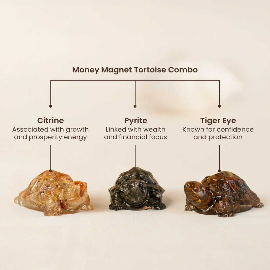 Money Magnet Tortoise Combo