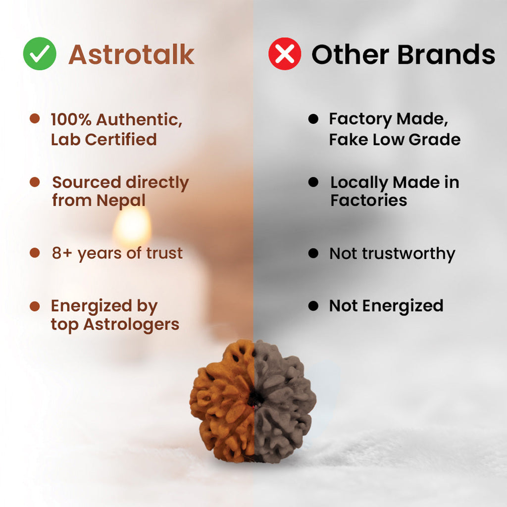 5 Mukhi Rudraksha Bracelet