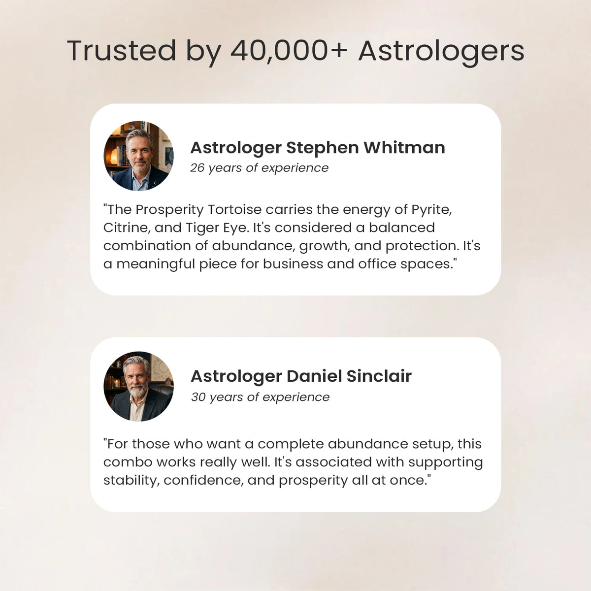 Divine Vastu Tortoise Trio
