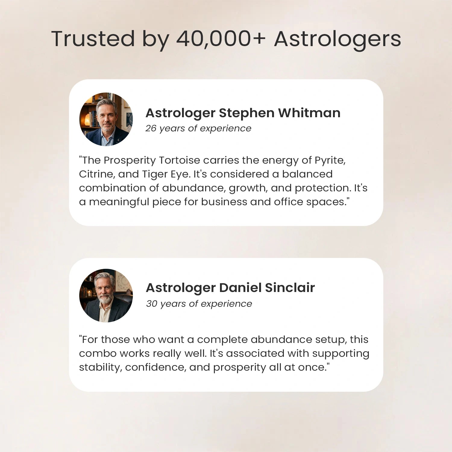 Divine Vastu Tortoise Trio