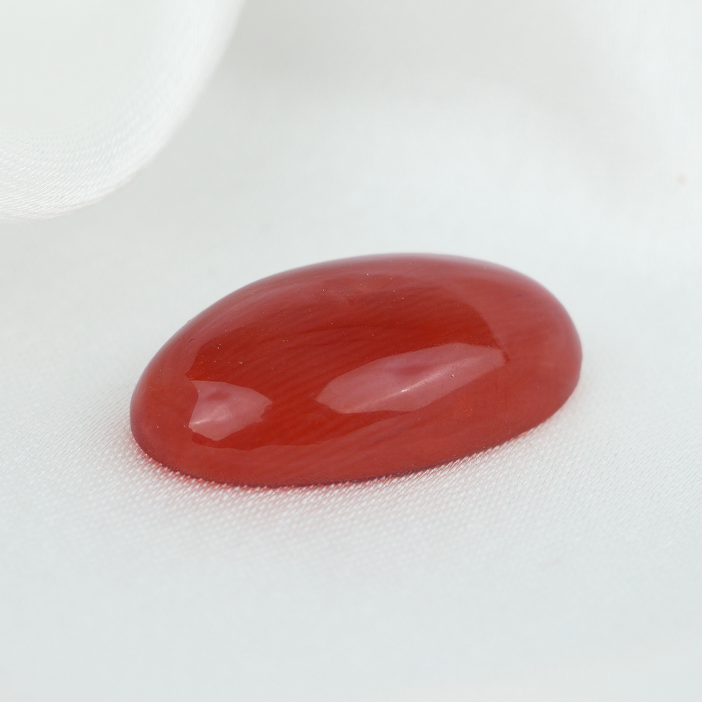 Italian Red Coral